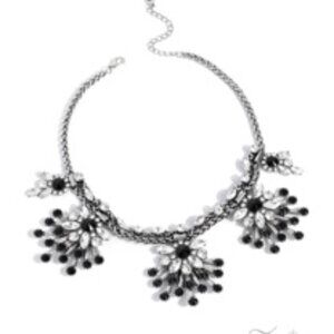 Paparazzi Assertive Zi